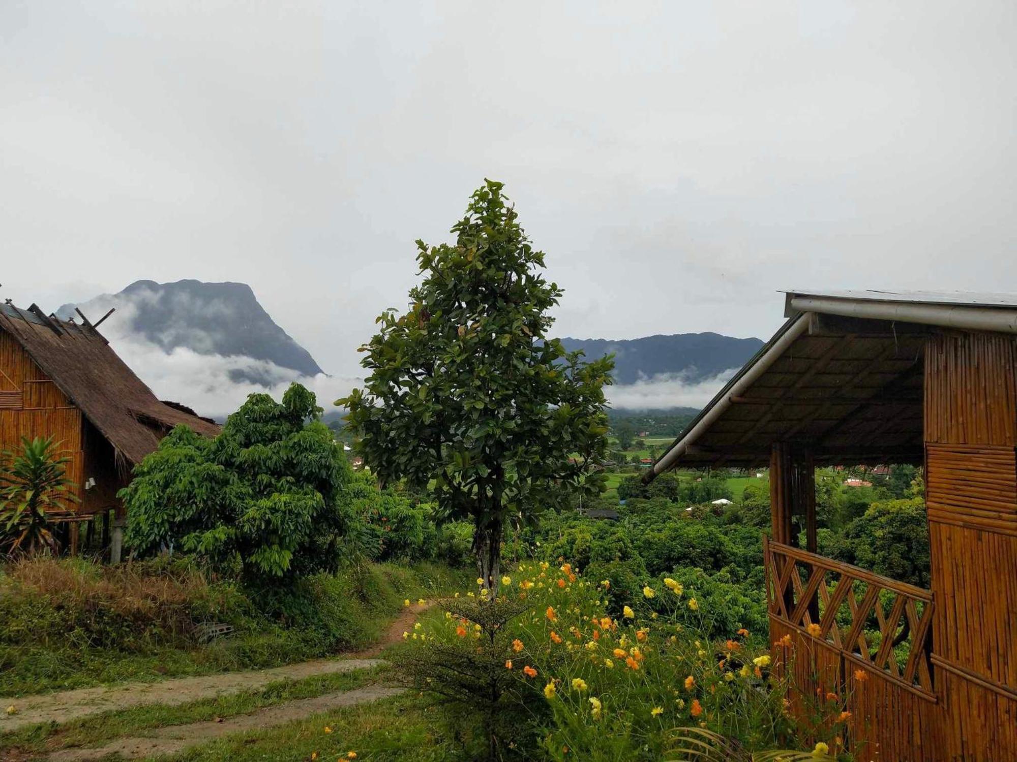 Baan 2 Dao * Chiang Dao