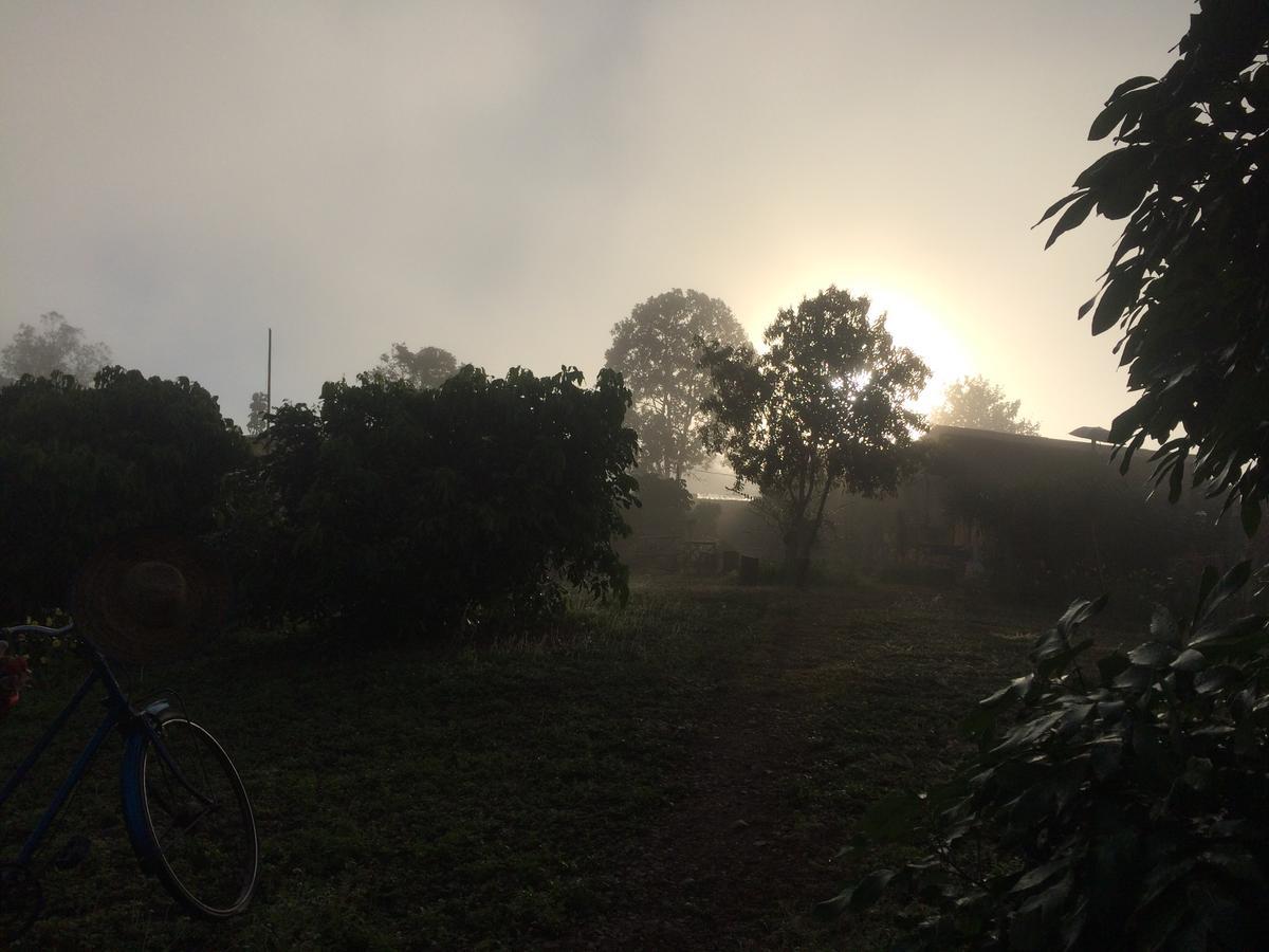 Baan 2 Dao Chiang Dao